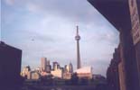 Click to see larger image - View of CN Tower